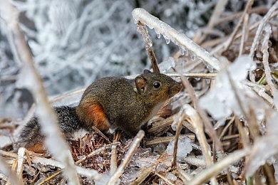 《生化危机2＆3＆7》次世代主机版推出 更真实体验
