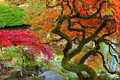 庆祝获得2022年PS合作伙伴大奖 《原神》发放800原石谢礼