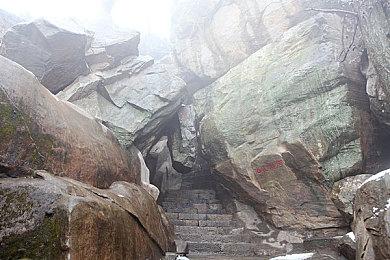 《龙腾世纪4：恐狼》开发者泄露游戏将于2024年发售